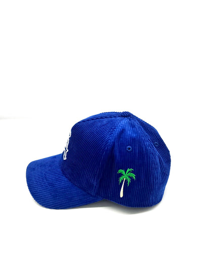 Los Angeles Dodger Cap